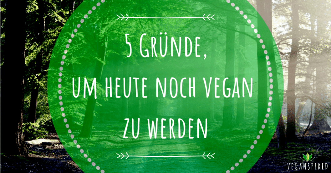 5 Gründe um heute noch vegan zu werden