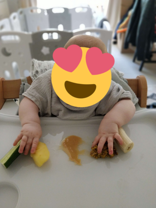 Beikost Einführung Baby-led Weaning Lucie Remus Veganspired Ernährungsberatung